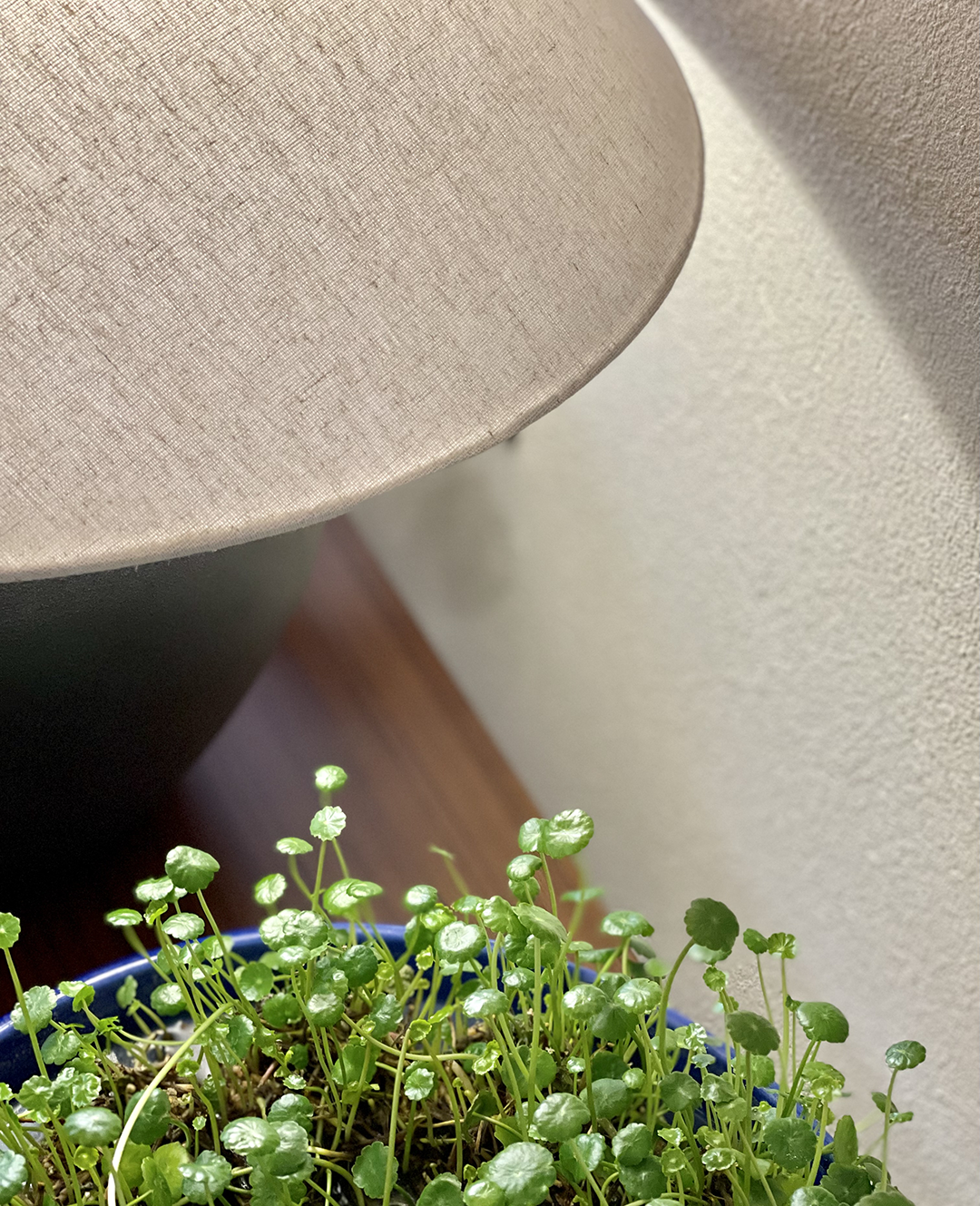 熊先生·萃堤别院丨中国天门丨张文基-39