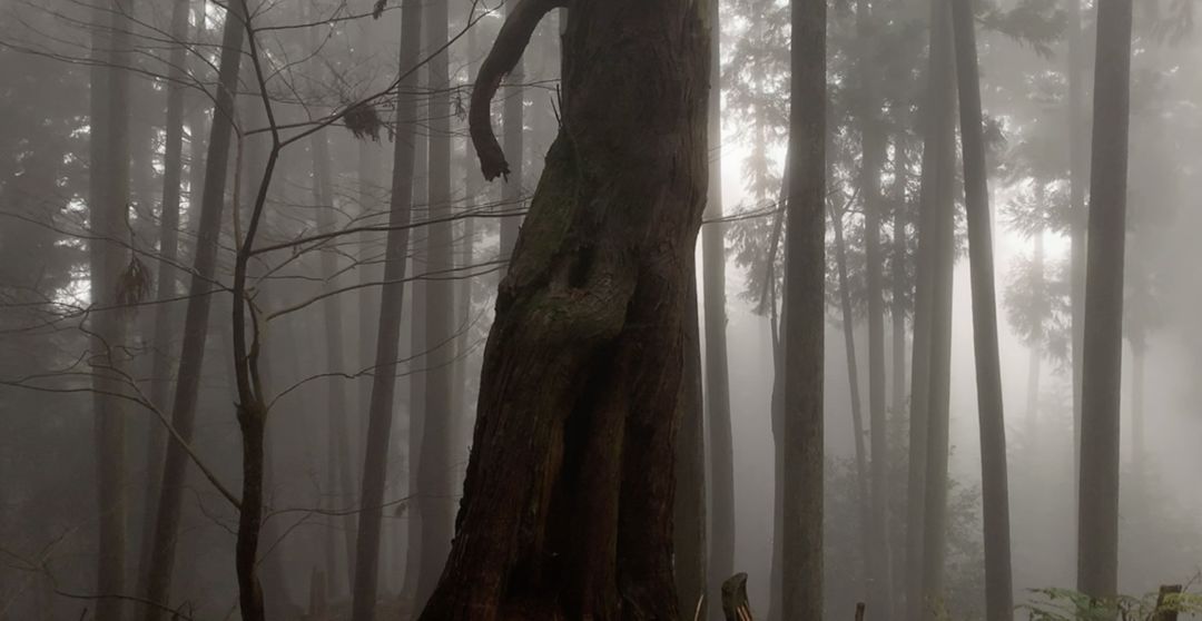 精选设计旅馆丨日本丨原研哉-35