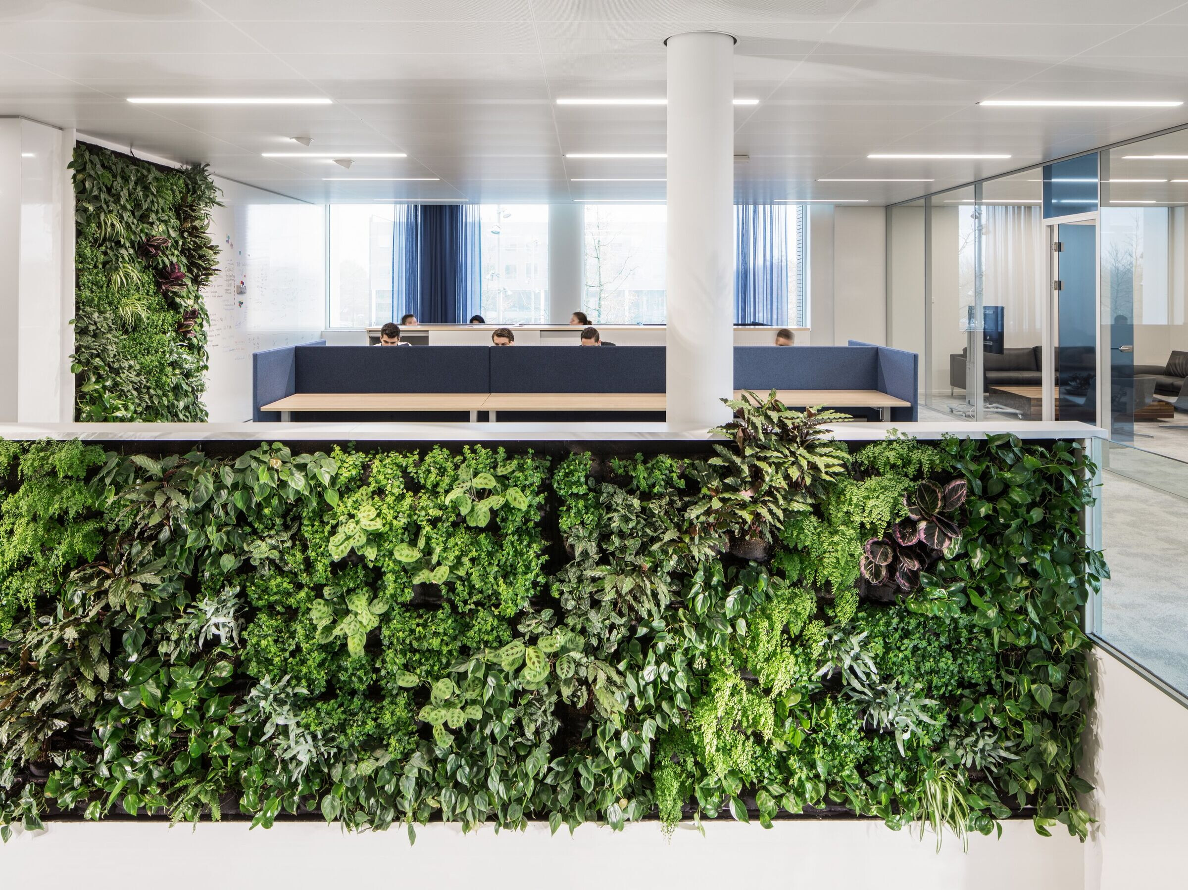 荷兰食品行业 IT 公司办公室设计-17