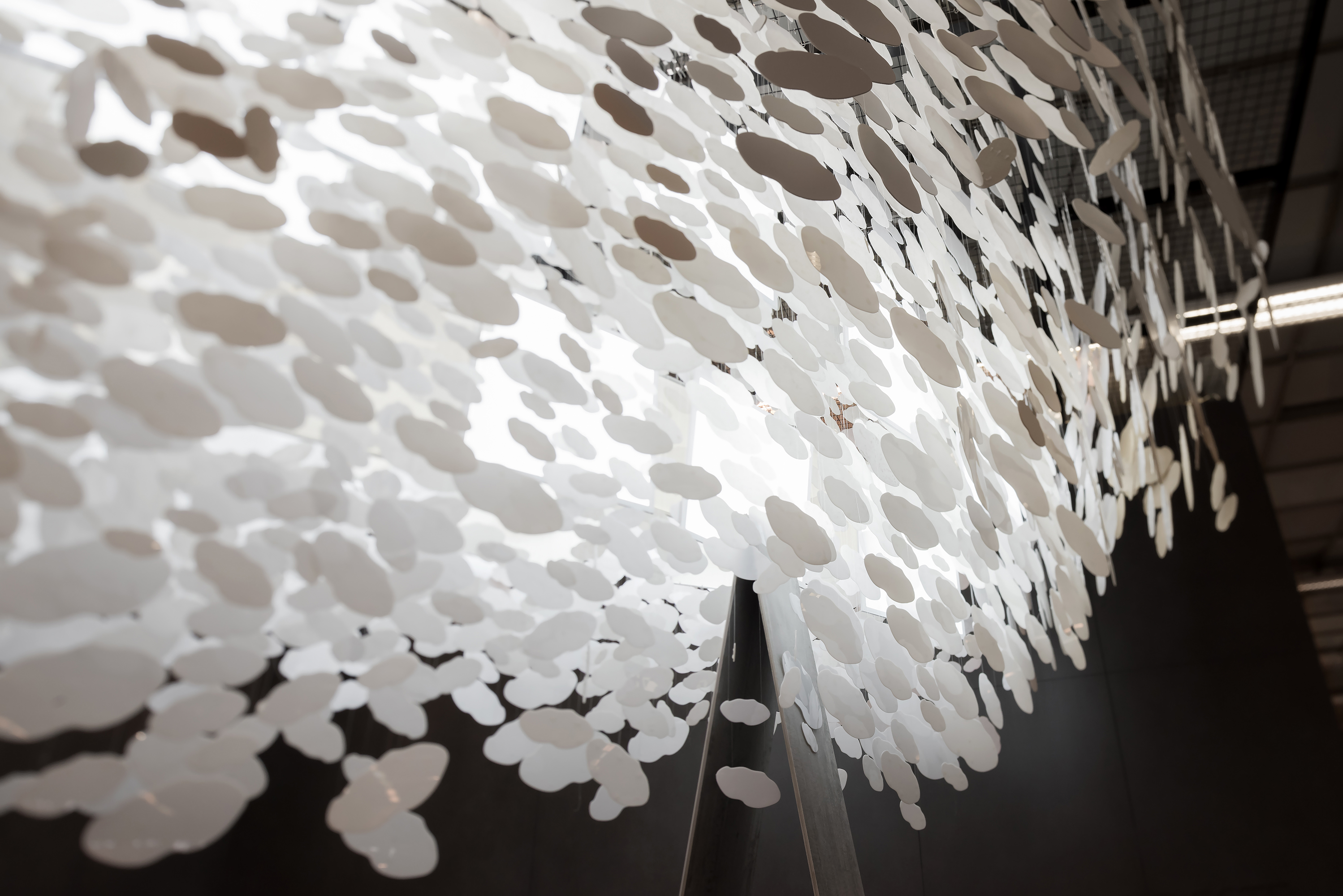 空中树（Air Tree）YoYo Bureau 设计-12