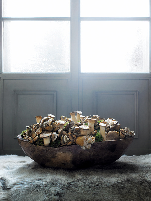 Villa Harteneck Catalogue Shooting Annabell Kutucu-4