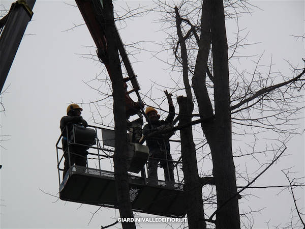 历史公园改造-16