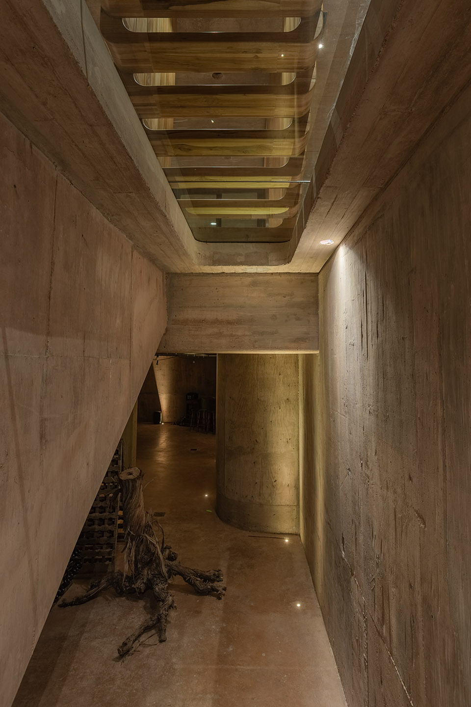 Brutal Honesty住宅丨阿根廷门多萨丨OF. STUDIO-43