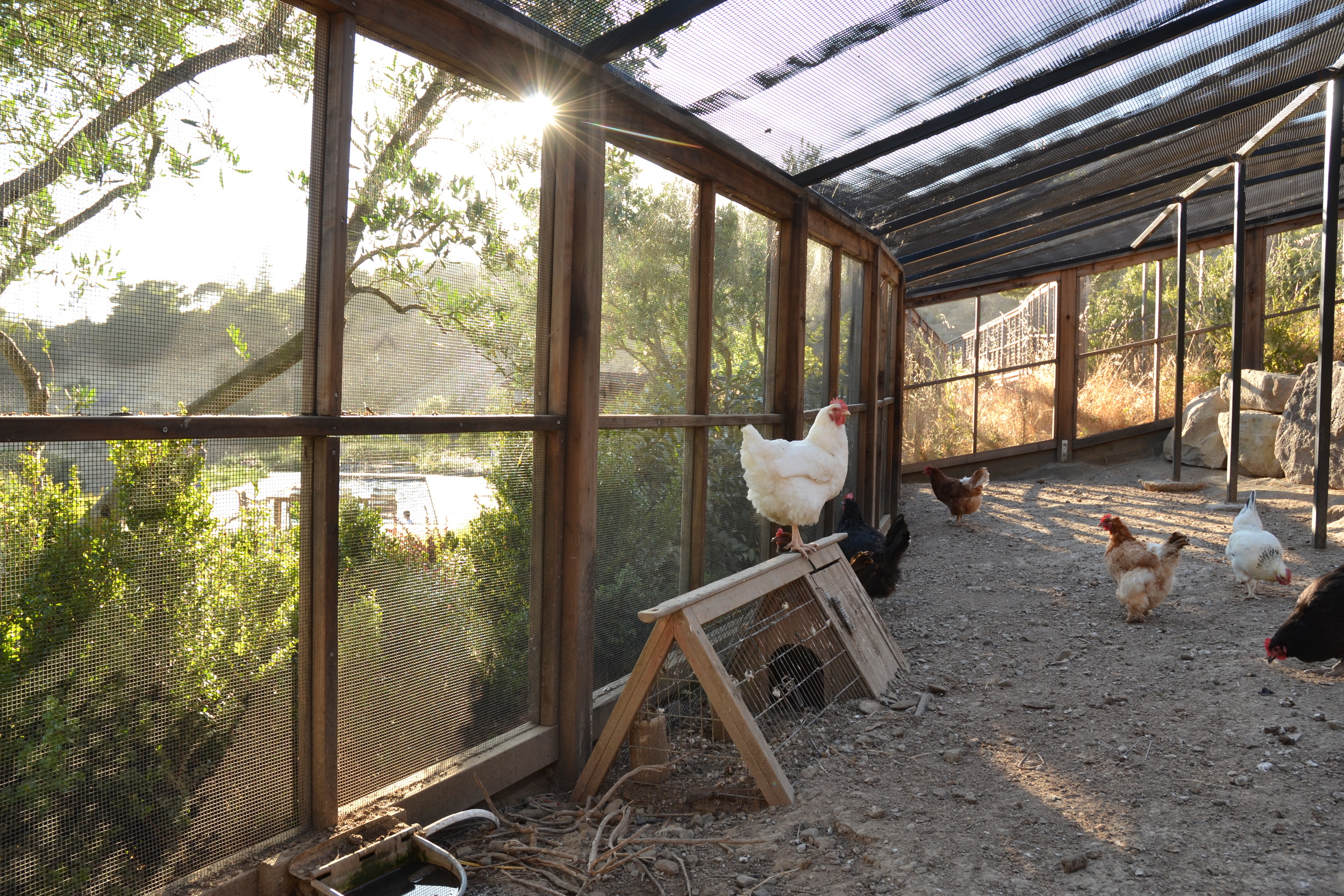 丨美国加利福尼亚丨McGlashan Architecture-1