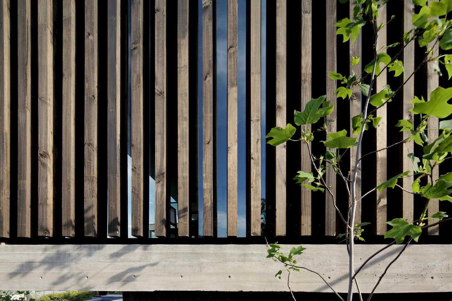 智利 PF House 丘陵景观中的宜居设计-27