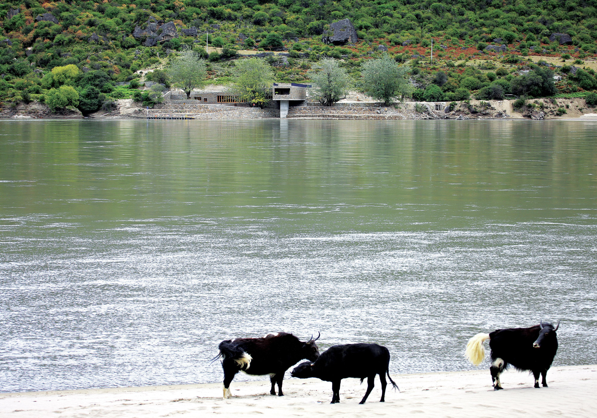 西藏雅鲁藏布江畔的船运终点站-17