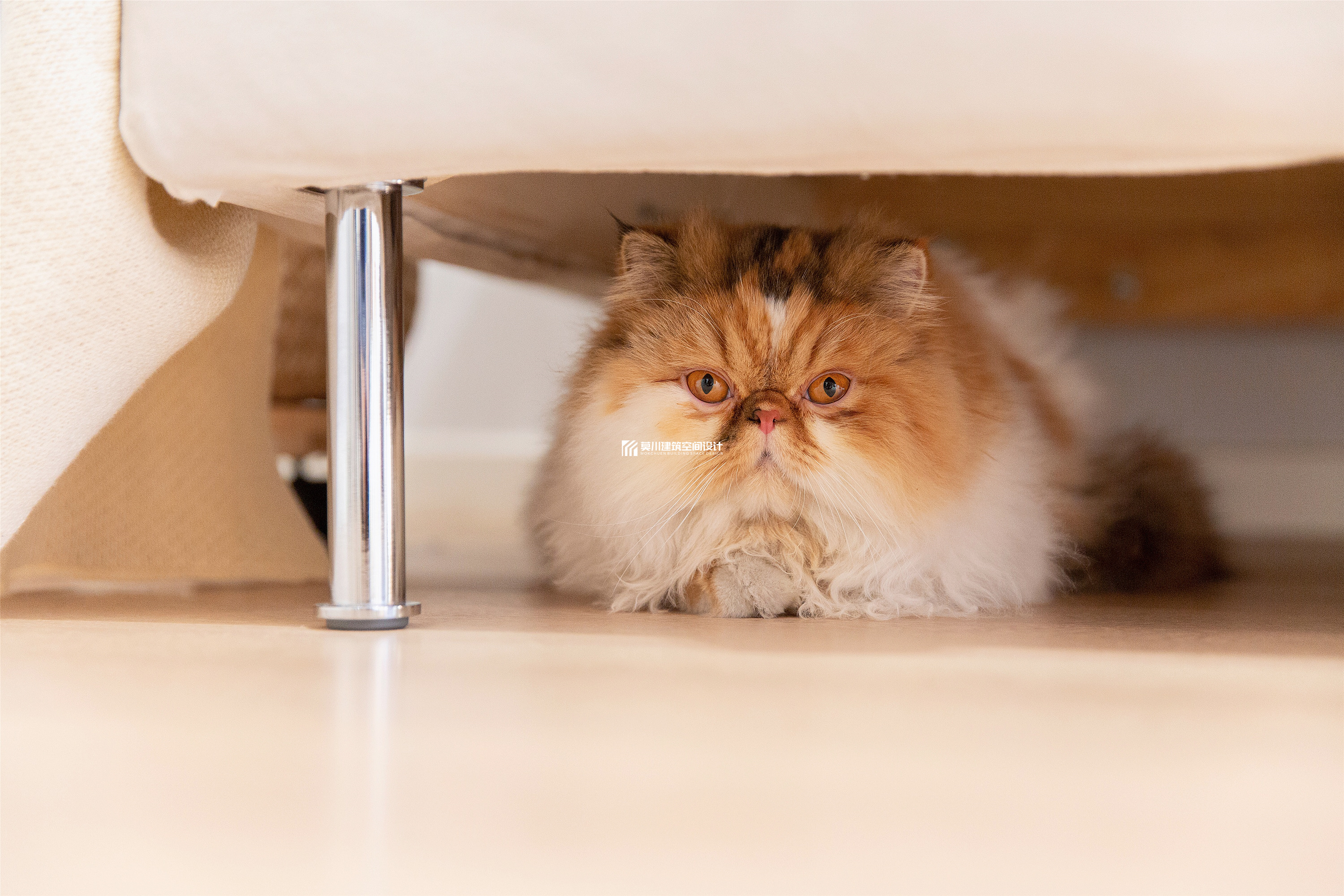 鼎太风华 127m²北欧风-7