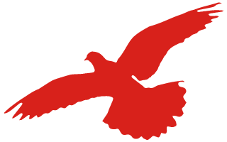 这支党支部勇站C位！-48