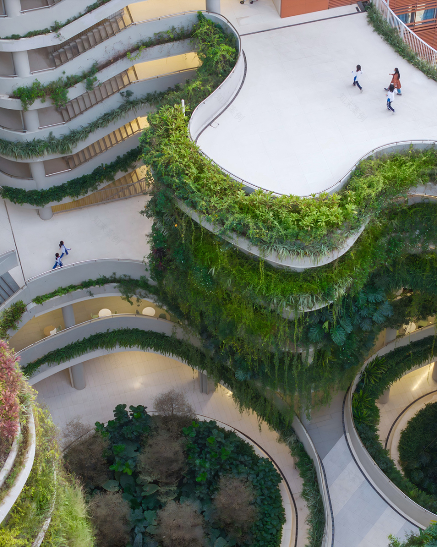 深圳红岭教育集团华富实验学校丨中国深圳丨深圳市建筑设计研究总院有限公司 城市建筑与环境设计研究院-3