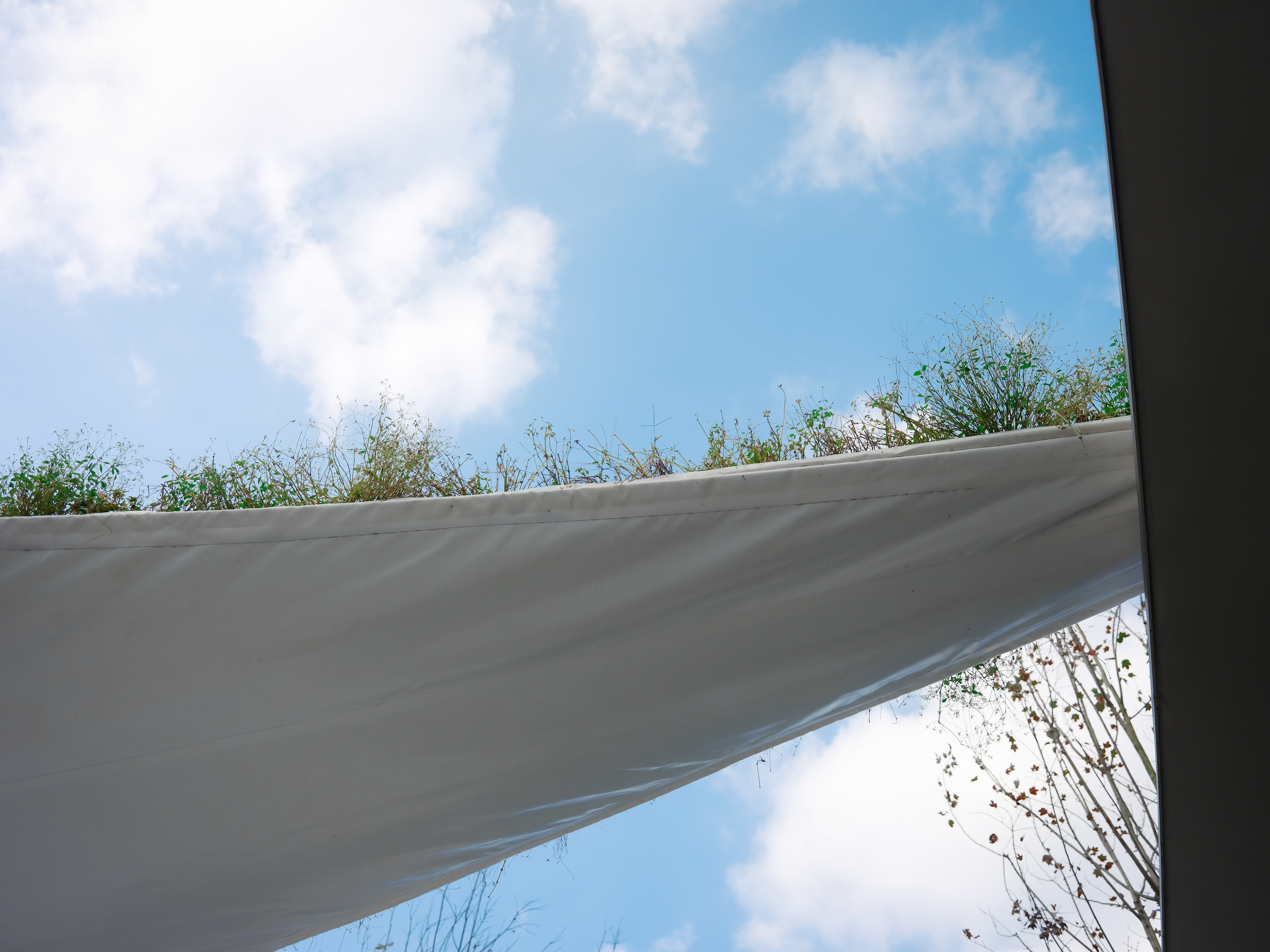 万华麓湖C26样板岛 · 钰屿珑湾丨中国成都丨成都魏玛 & A.t.e.l.i.e.r.R-86