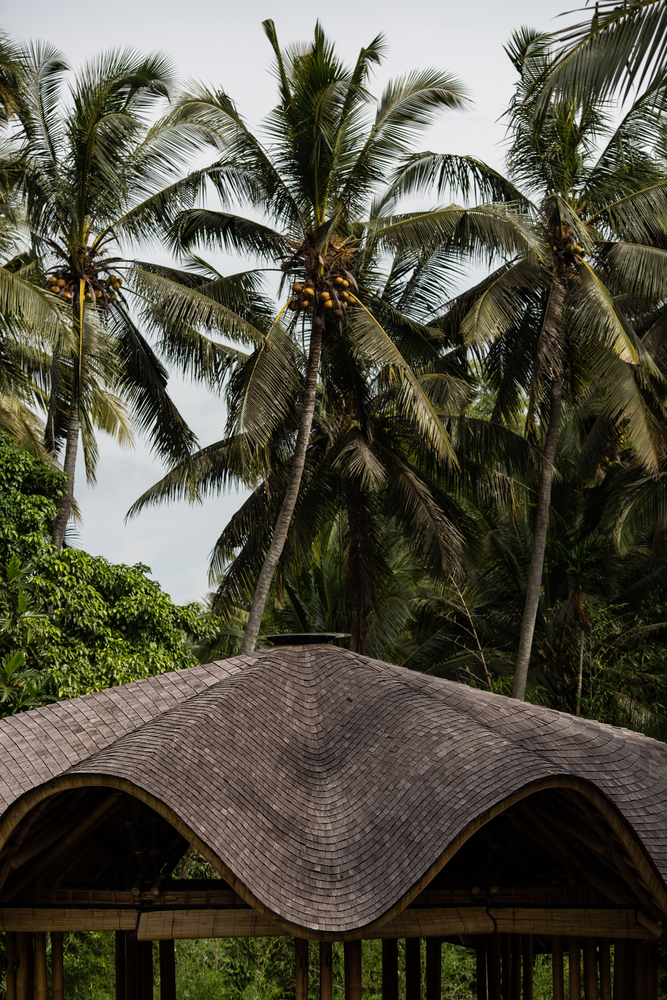 乌布瑜伽&水疗中心丨印度尼西亚巴厘丨不详-15