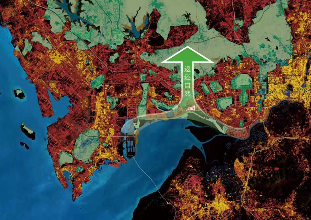 深圳红树林湿地博物馆丨中国深圳丨URBANUS都市实践+中国城市建设研究院无界景观工作室-14