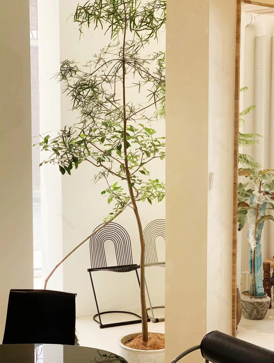 北京 COLLECTIE 中古家居店铺丨中国北京丨孵地设计室-29