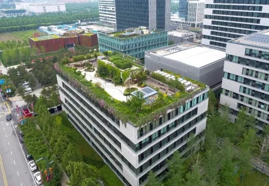 英国友人冒雨打卡海绵城市，意景设计师陪同揭秘海绵城市的“中国答案”-45