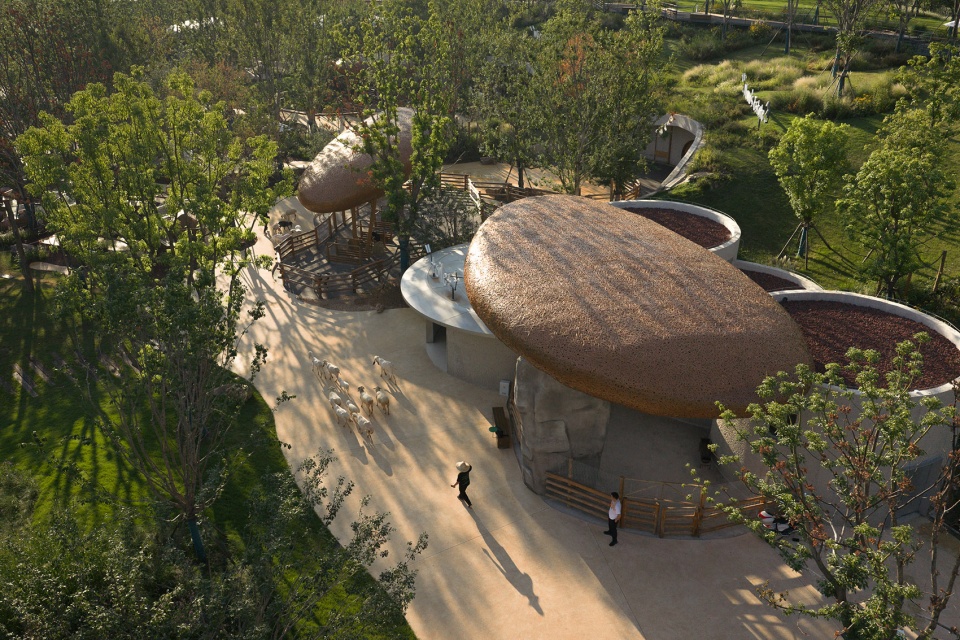 武汉麓客岛动物农场丨中国武汉丨万社设计-24