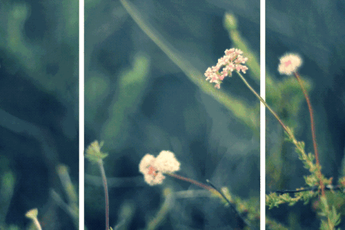 《印象》——美式风情，温馨内敛，品质生活-0