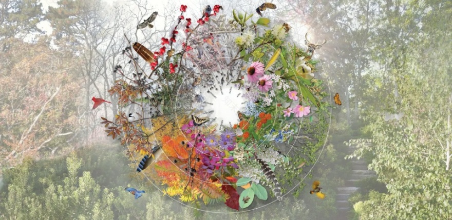 越橘之家丨美国丨Matthew Cunningham Landscape Design-39