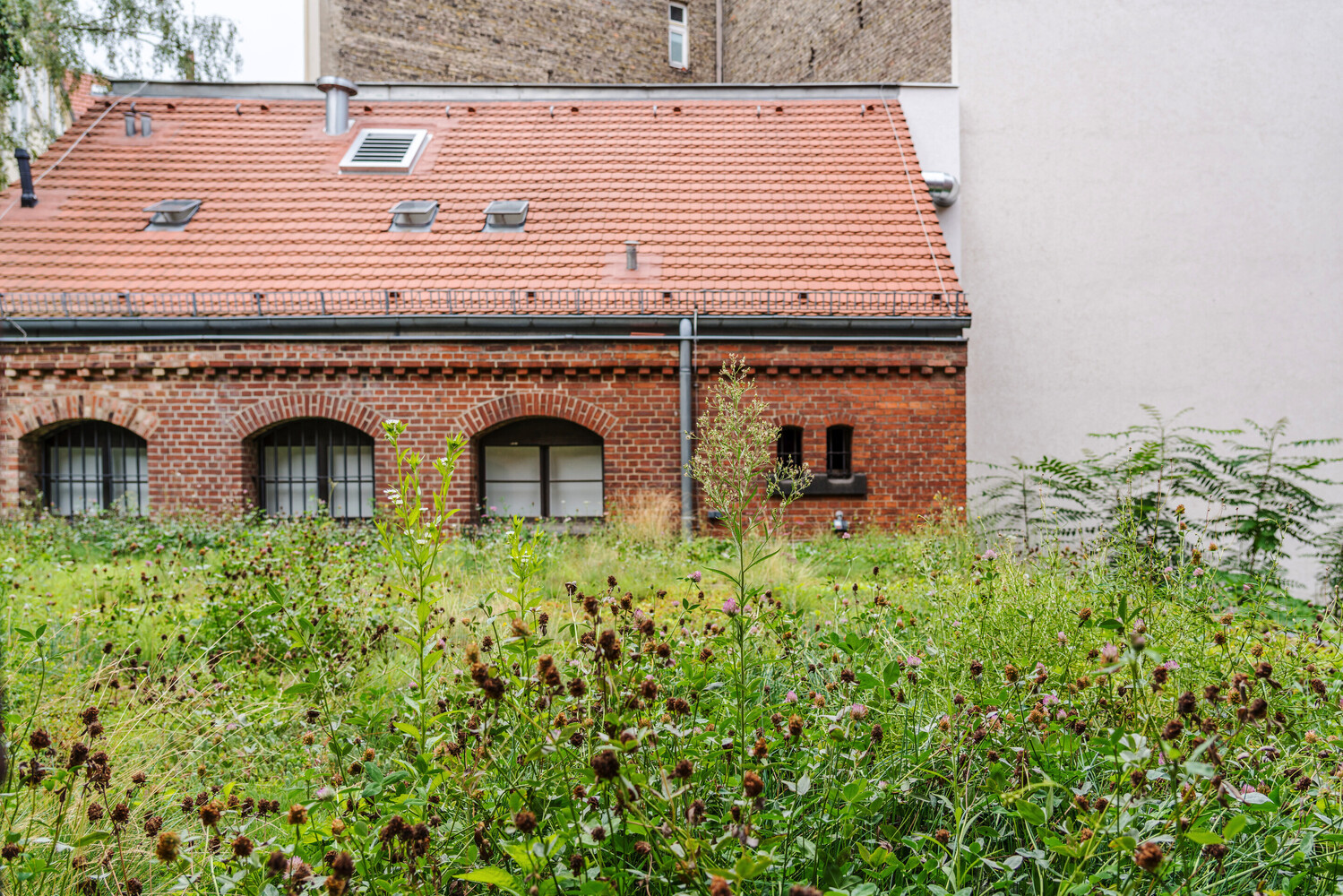 威尔米娜·柏林酒店丨德国柏林丨格朗图赫·恩斯特建筑师事务所-9