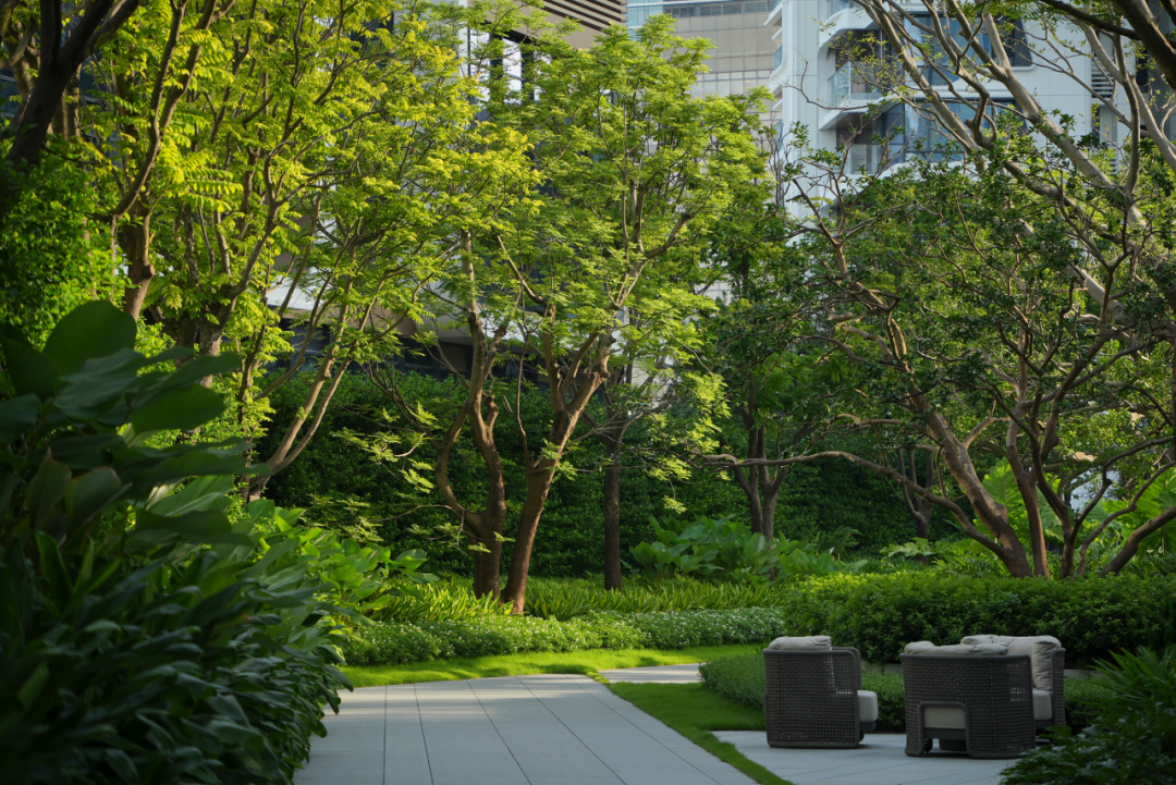 JTL加特林|汐线叠影，向深蓝凝望-深圳招商玺-69