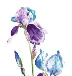 家居配色宝典 | 沙发软装搭配方案,美翻你的家-182