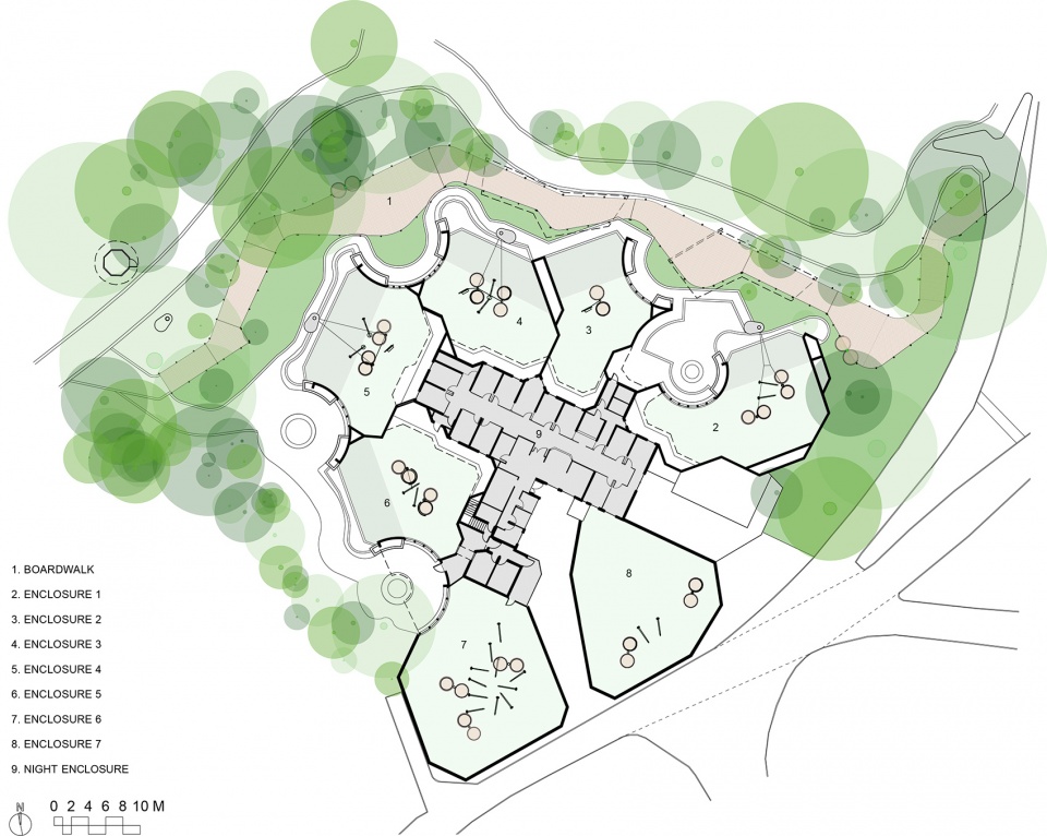 珀斯动物园苏门答腊猩猩展区丨澳大利亚珀斯丨iredale pedersen hook事务所-47