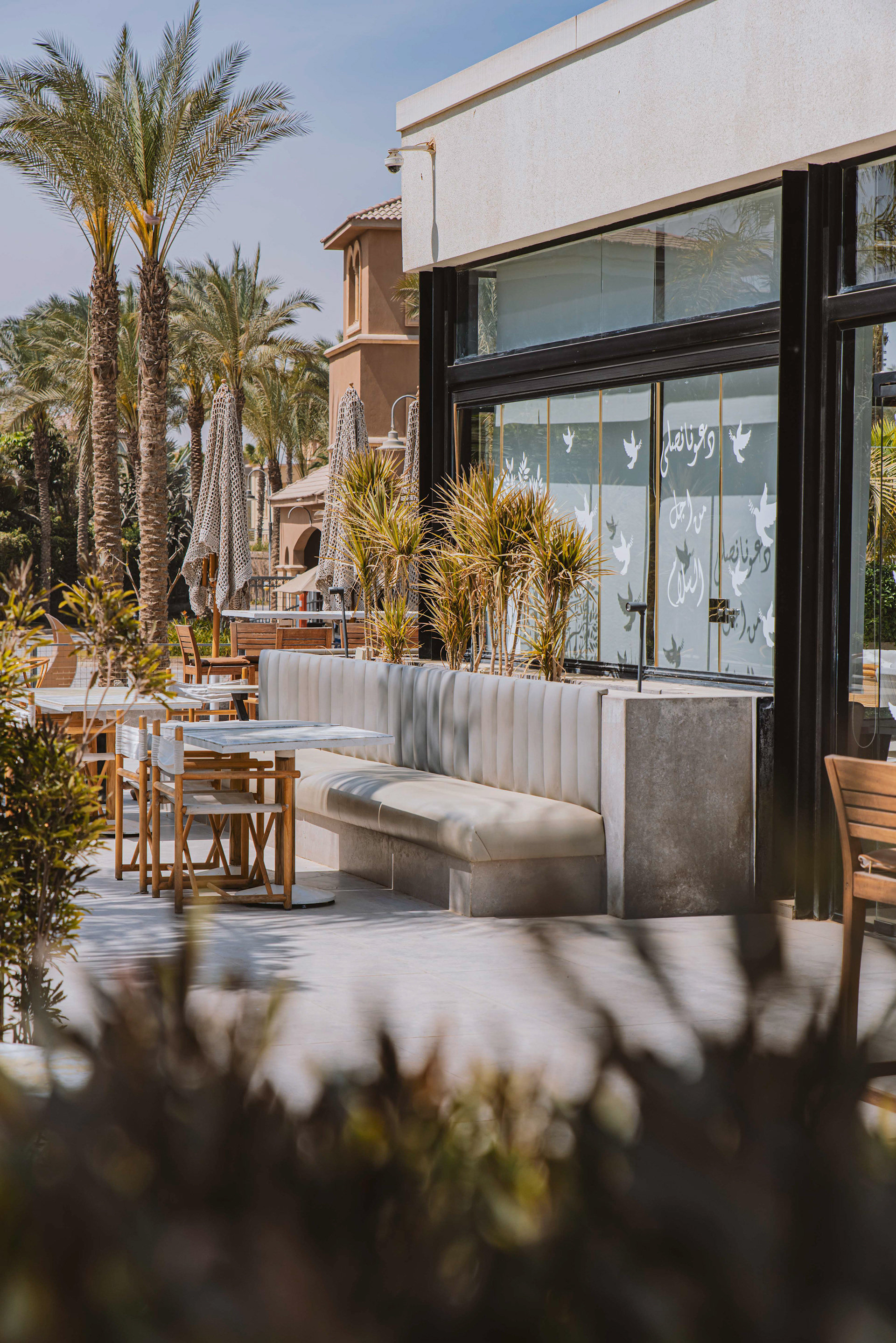 Cake Cafe - SWAN LAKE-32