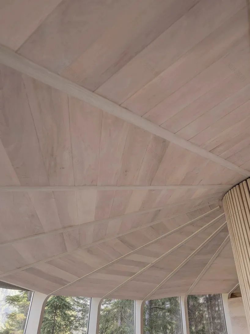 木屋世界:海伦 & 哈德将木巢树屋,系在挪威的松树上-23