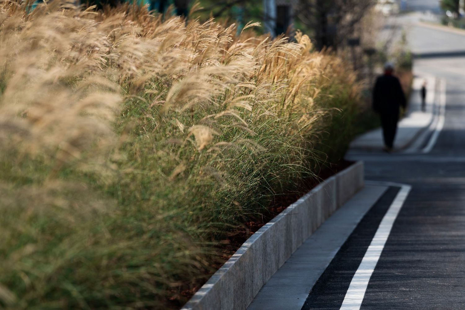 魏玛景观丨西安融创曲江印景观设计 丨中国西安-13