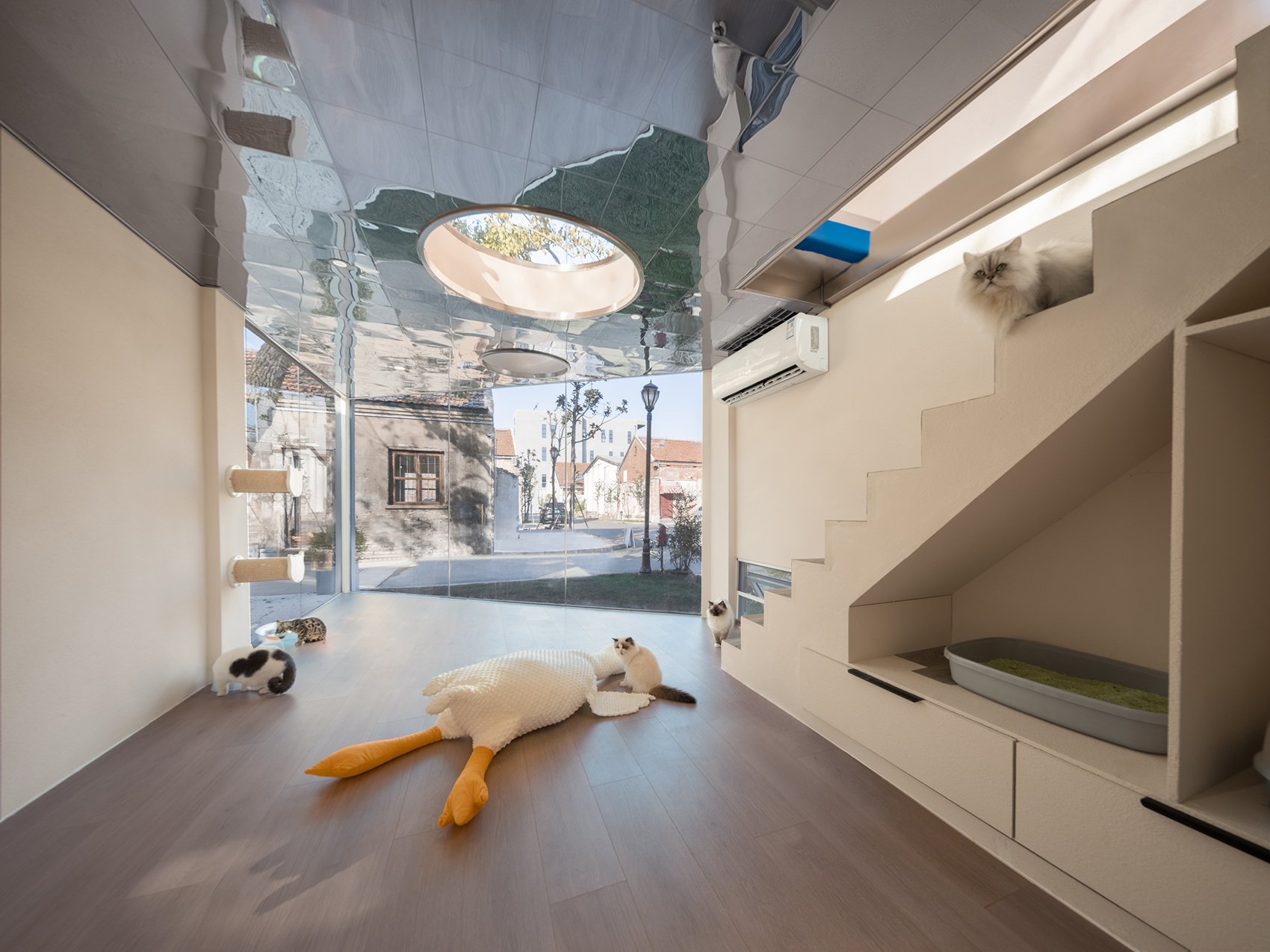 LILITH莉莉斯小屋（猫舍花园）丨中国上海丨DCDSAA淀川建筑事务所-58