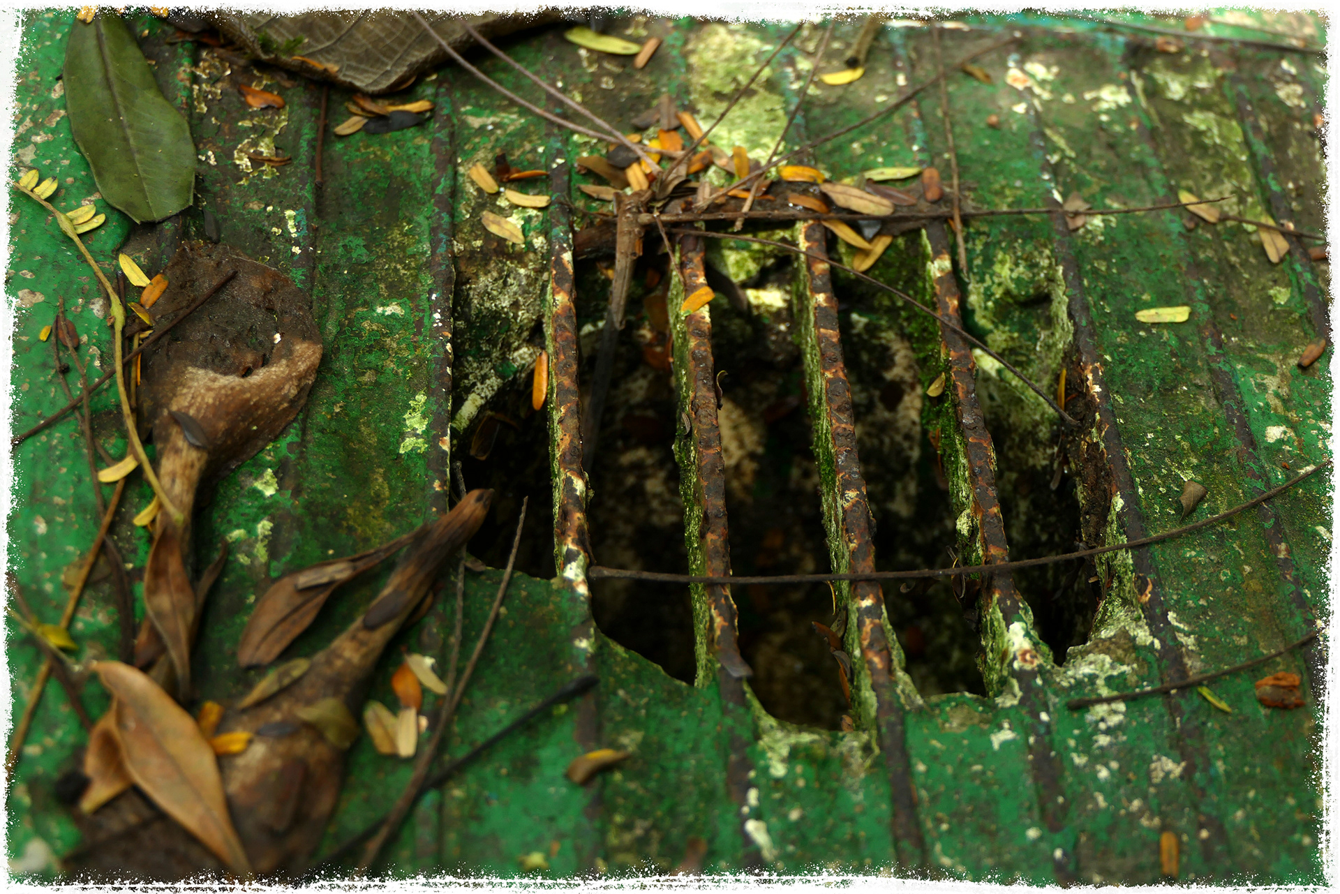 Old Greenhouse-15