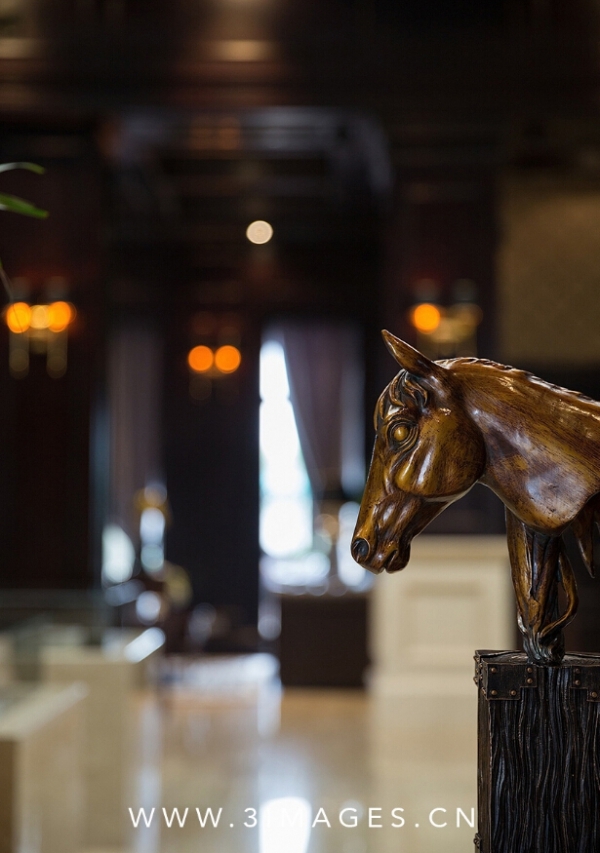 绿地香树花城-9