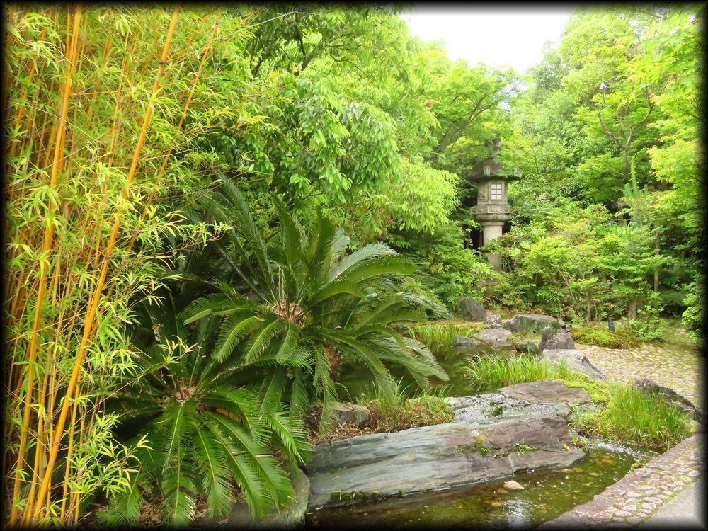 旧竹内栖鳳邸「東山艸堂」 ―THE SODOH HIGASHIYAMA KYOTO（ザ ソウドウ 東山 京都） ―造形礼賛-34