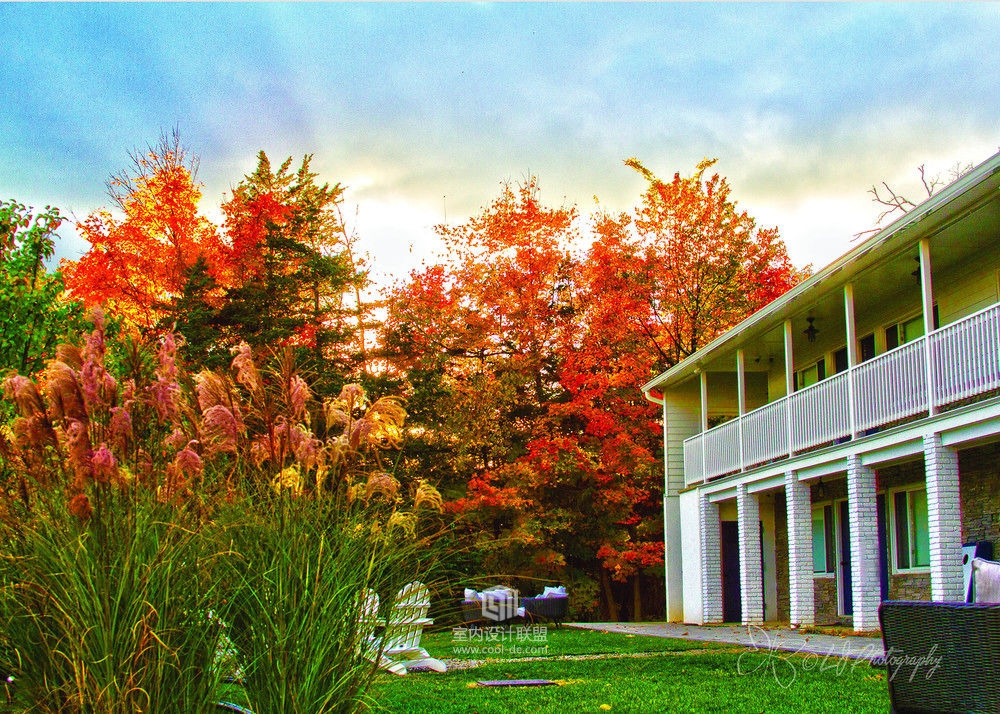 Hotel Dylan 纽约州Woodstock小镇酒店-21