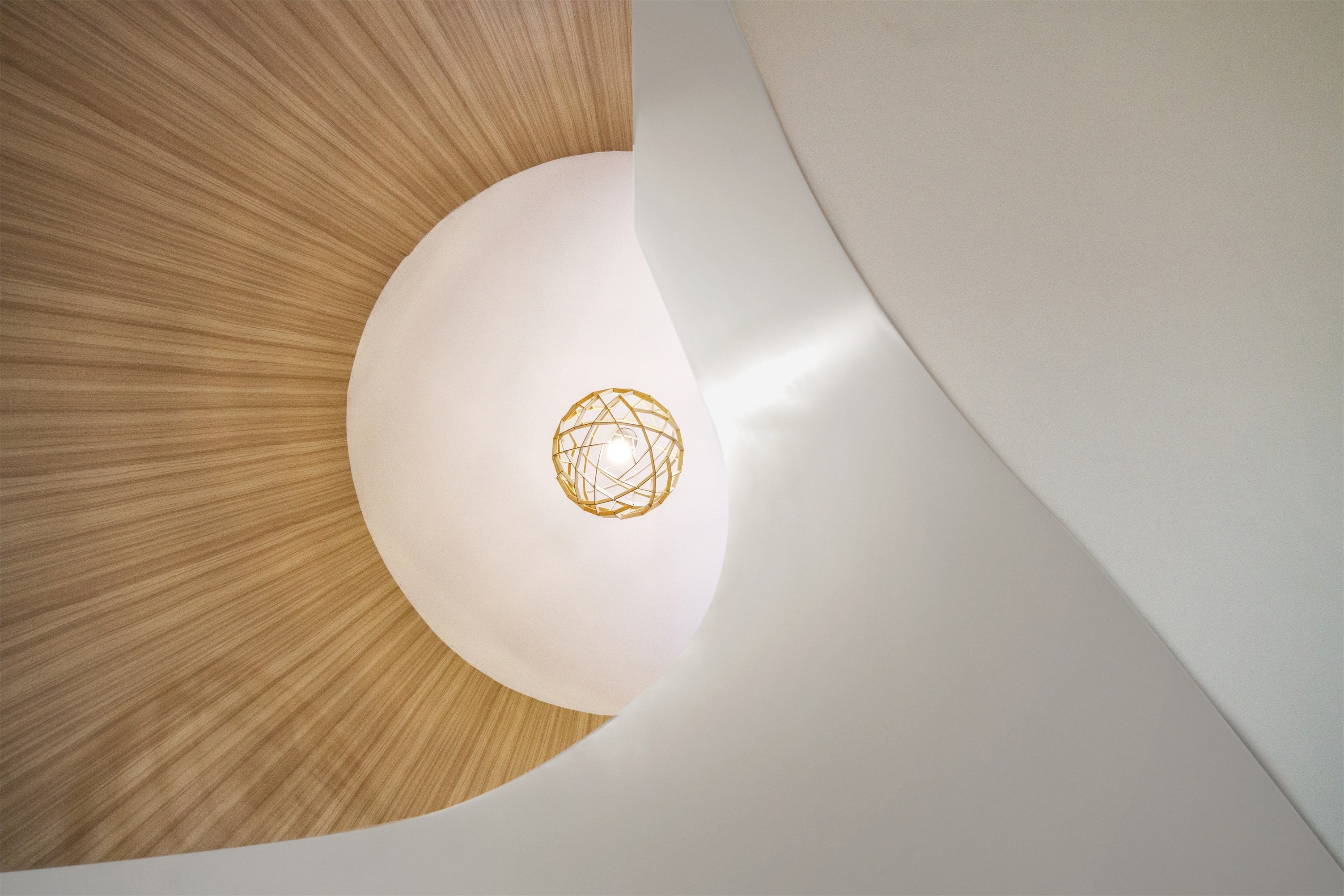 连接科学与公众的 Accuragen 机构办公室-28