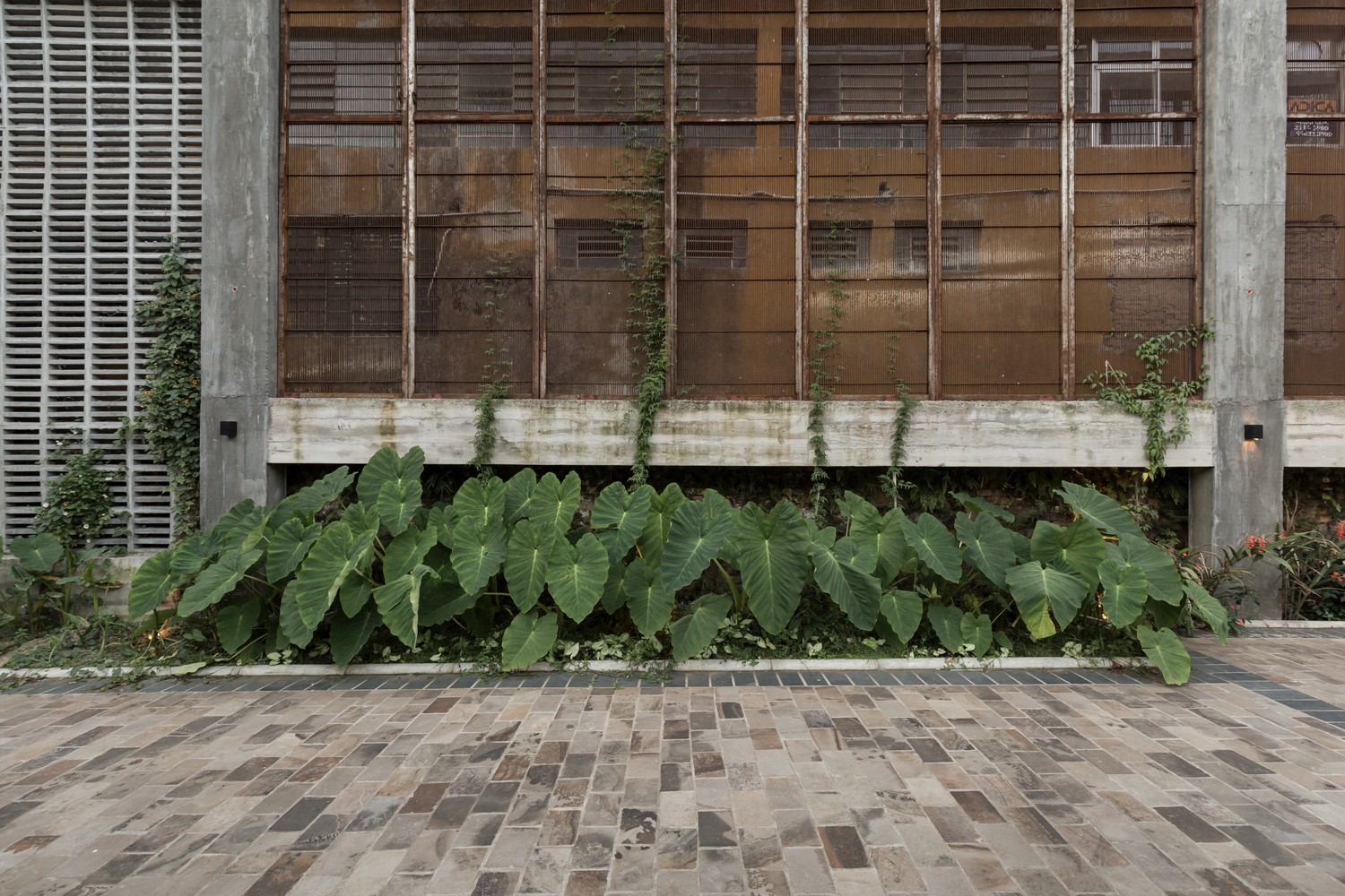 巴西 Michielon 酒厂复兴 | 历史记忆与现代文化的完美融合-20