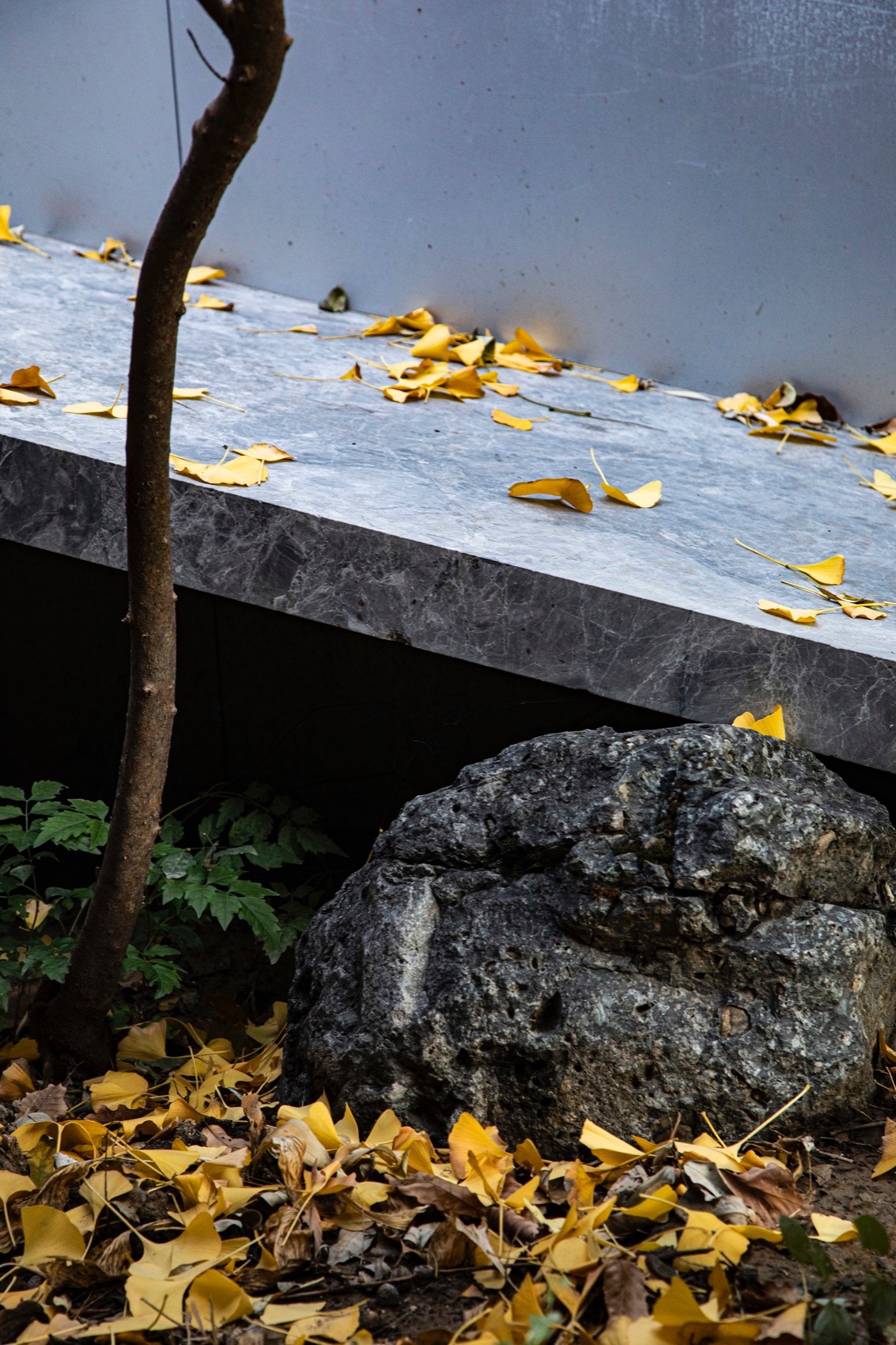 满园丨中国北京丨TAOA陶磊建筑-113