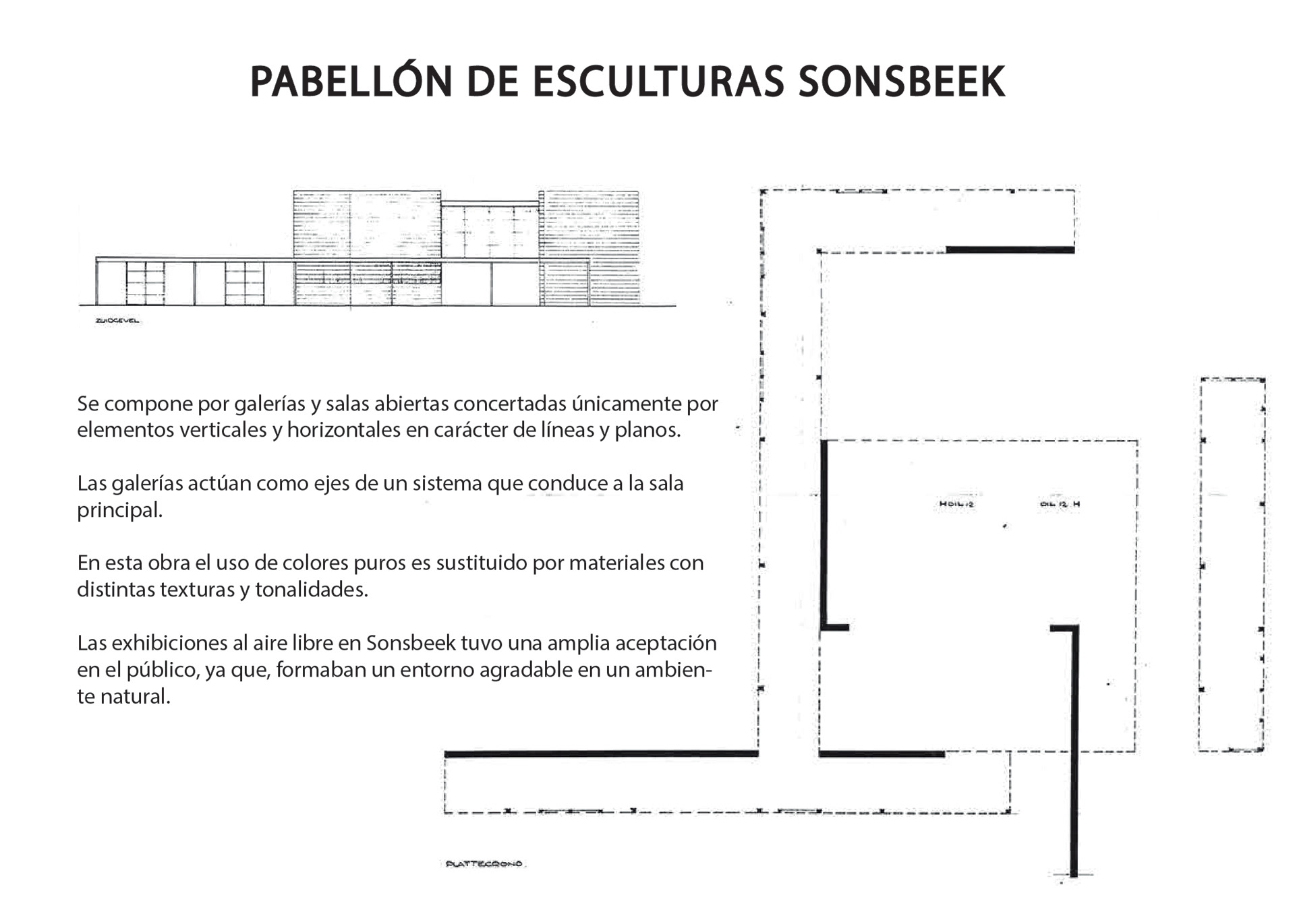 ARQT 2101 - Procedimiento anatómico 1-3