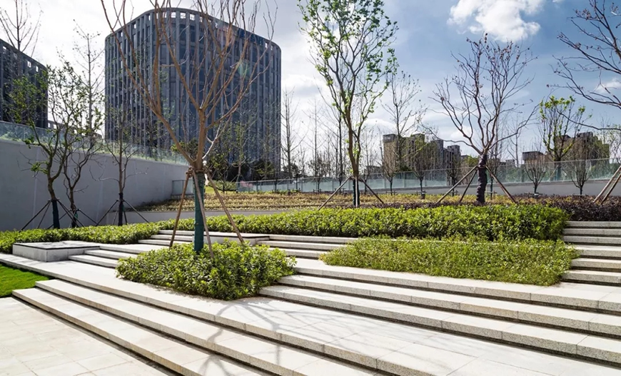 上海协信中心-37