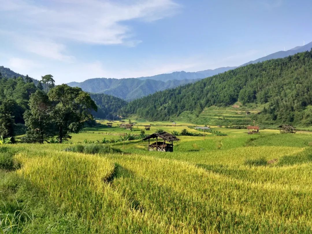 绥宁黄桑时光里民宿酒店丨中国邵阳-16