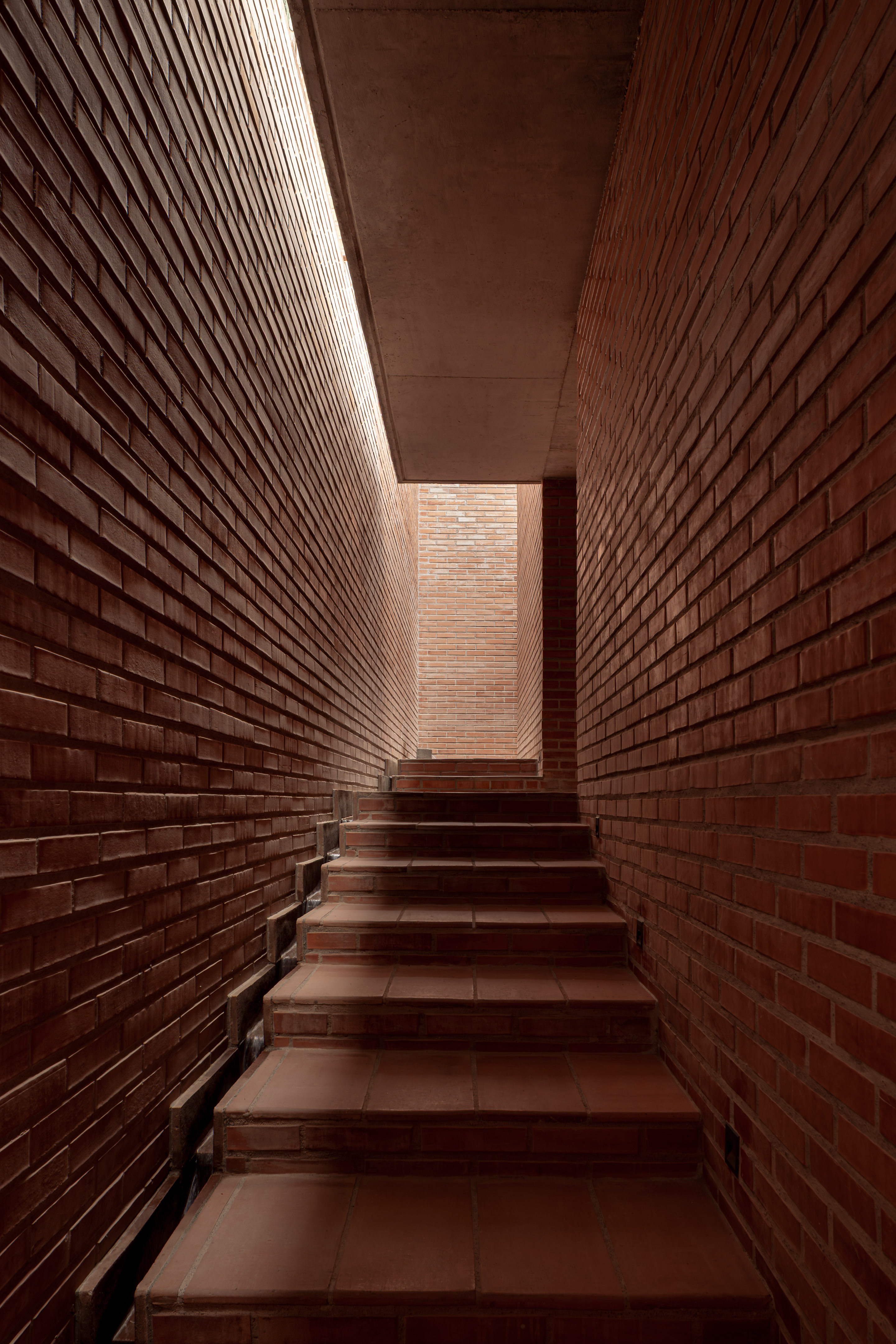 皮鲁莱斯之家丨墨西哥丨Escobedo Soliz（Pavel Escobedo等）-33