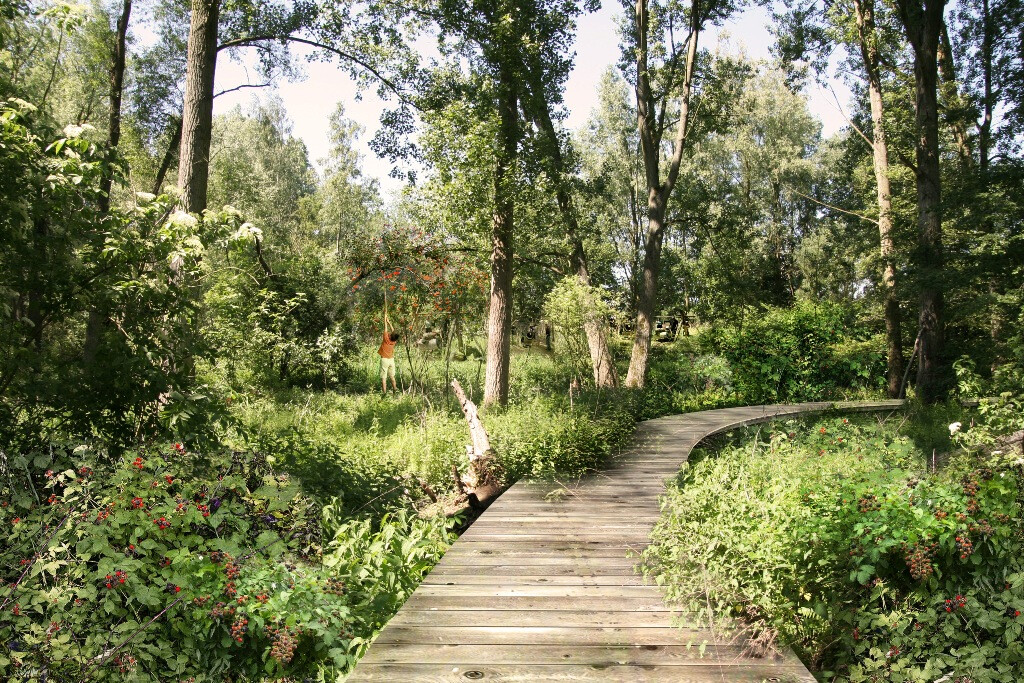 帕克·鲁格维尔德·波特拉拉尔·西尔斯堡-24