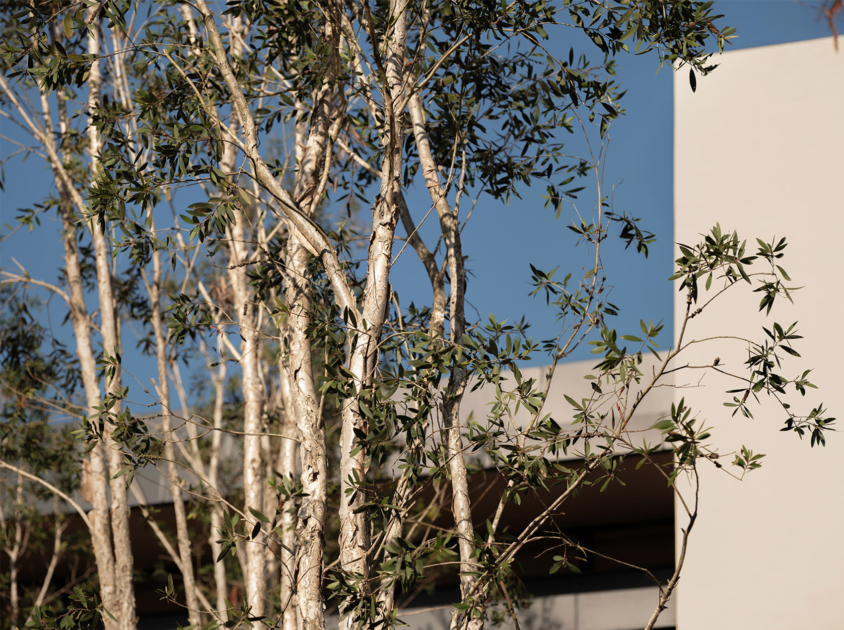 Y 酒店丨中国三亚丨WTD纬图设计-38