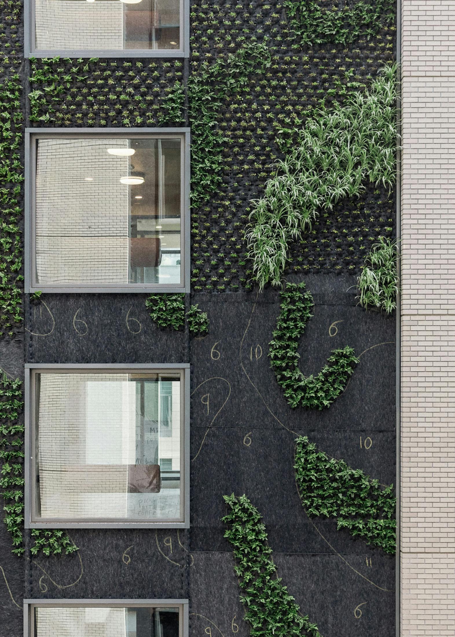 丨美国加利福尼亚丨Morris Adjmi Architects-19