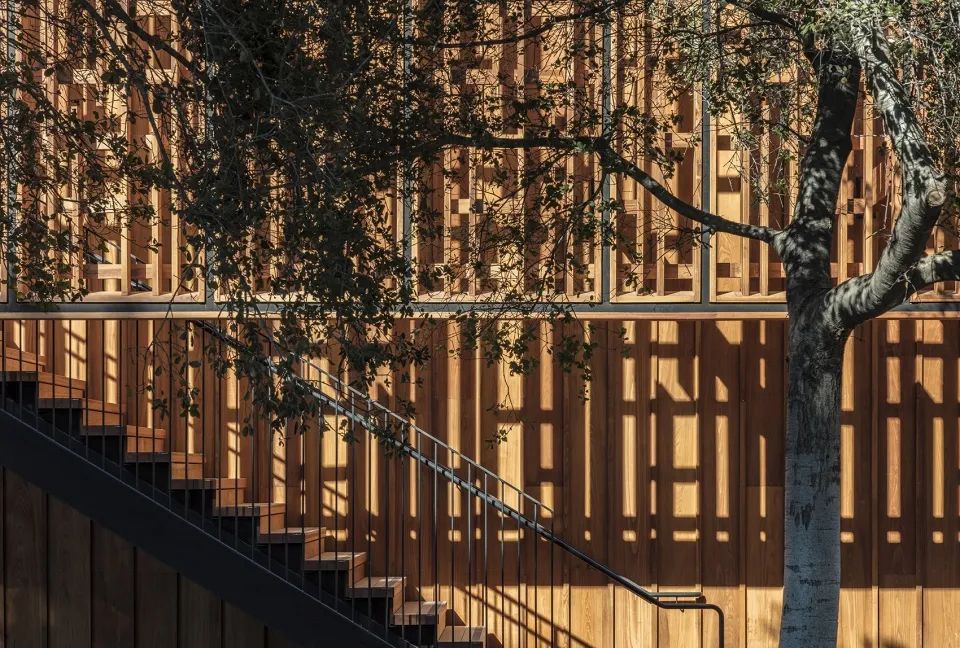 斯坦福大学丹宁楼(Denning House)-19