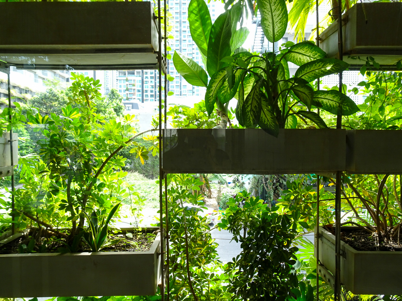 アーバン・ファーミング・オフィス | ベトナム の建築【世界建築巡り】-63