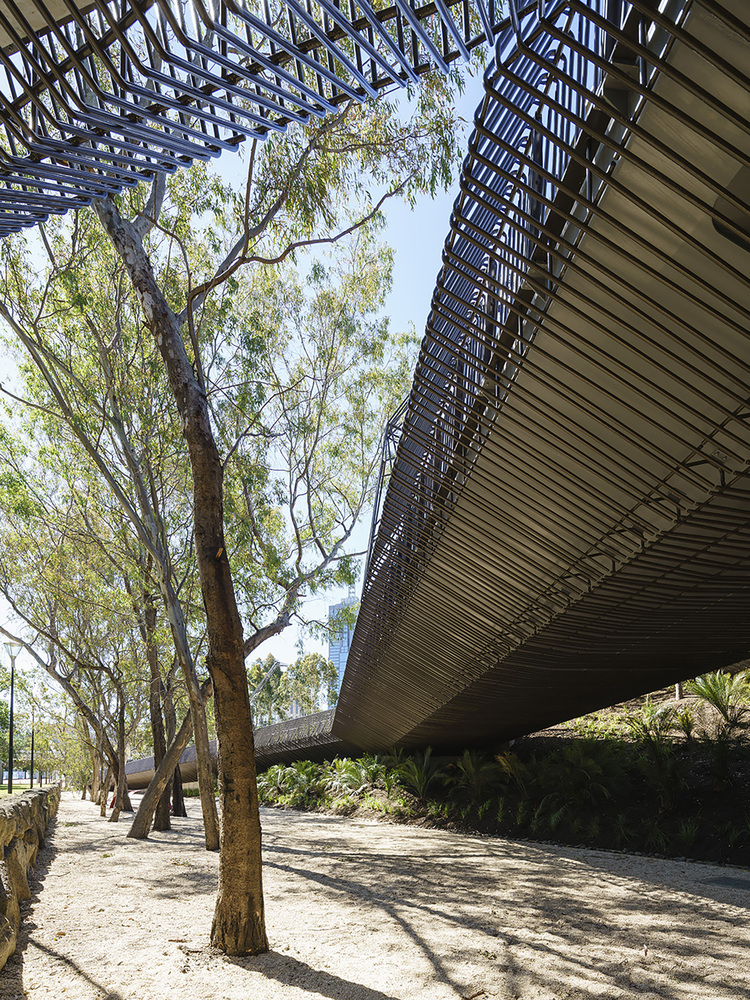 Tanderrum Pedestrian Bridge  John Wardle Architects  + NADAAA + Oculus-37
