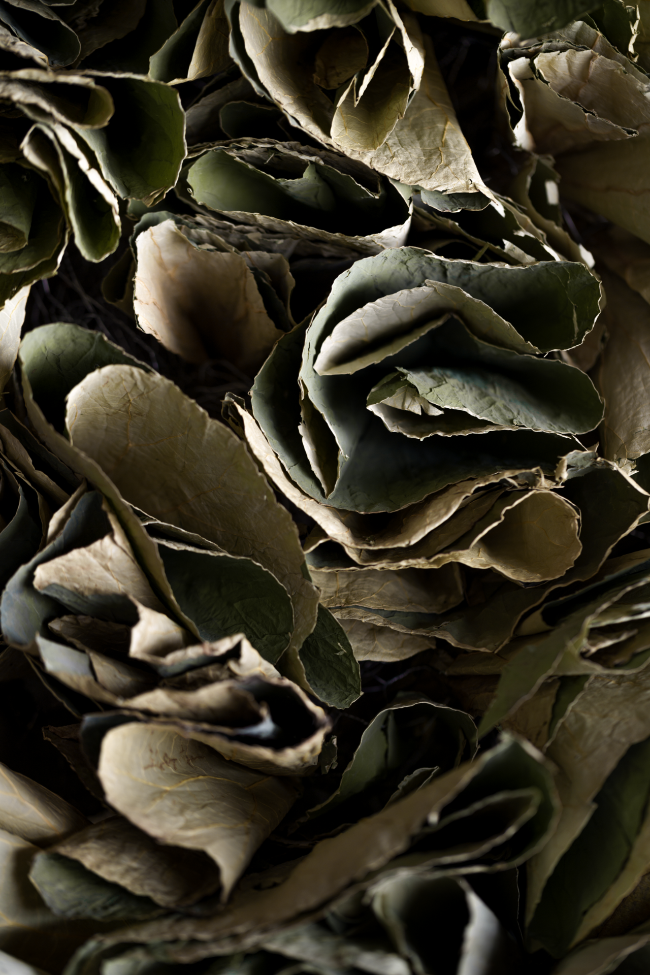 四川ZENLOKA  臻乐家高定工厂展厅丨蔓野室内设计工作室-43