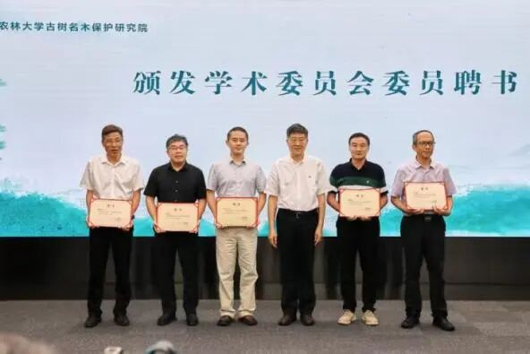 因石而立栖木为生|我院设计的浙江农林大学古树名木保护研究院奠基开工！-4