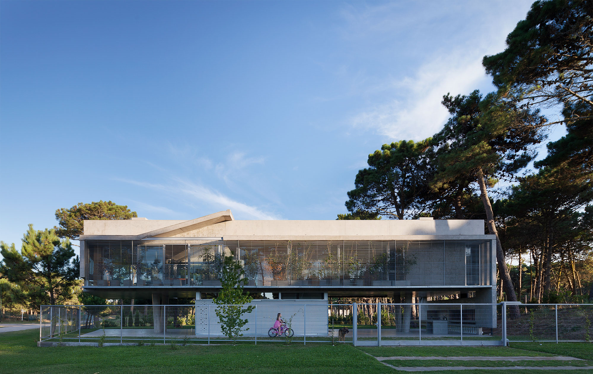 悬浮森林中的宁静家园-23