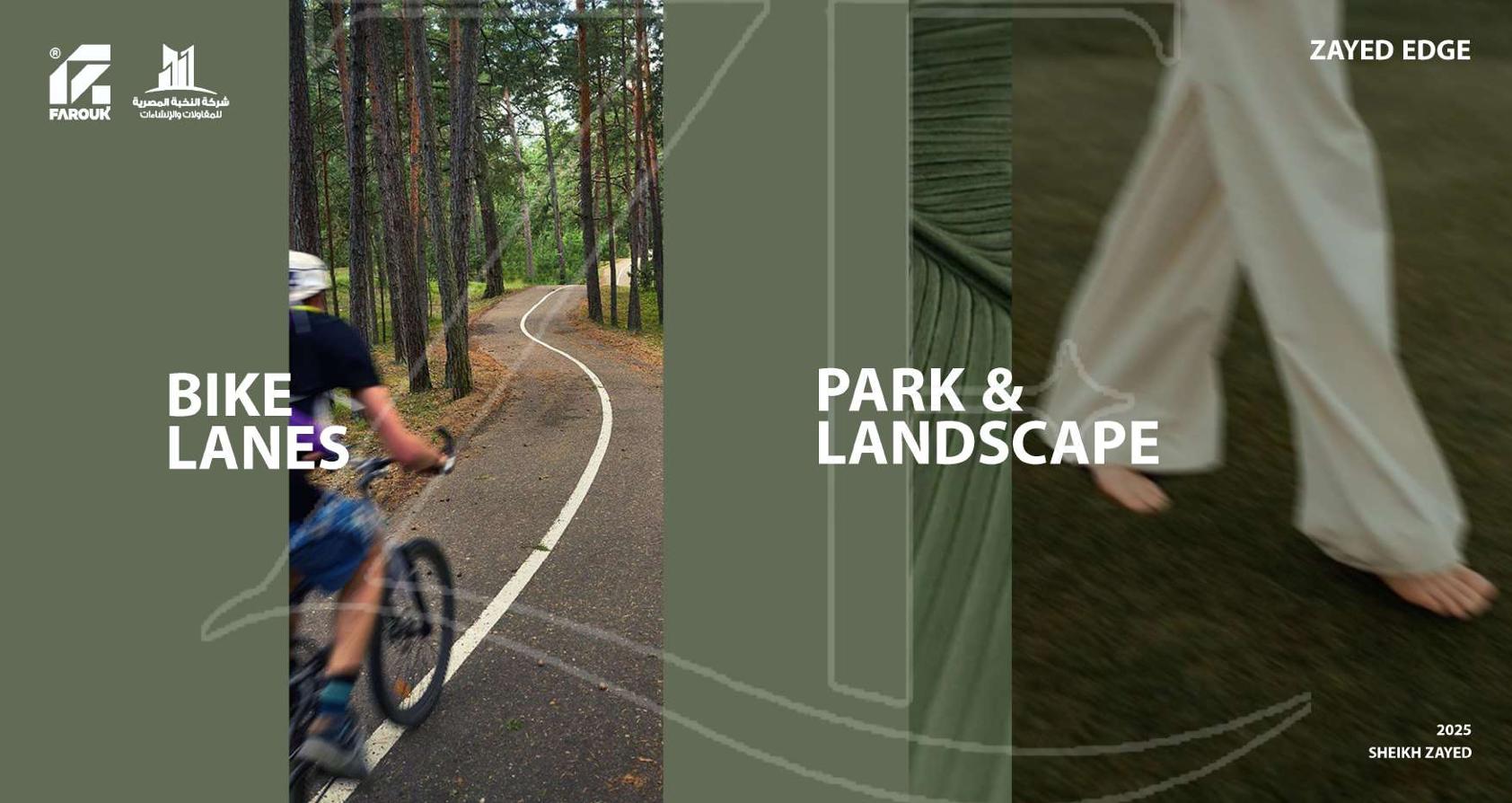 ZAYED EDGE 住宅建筑-10